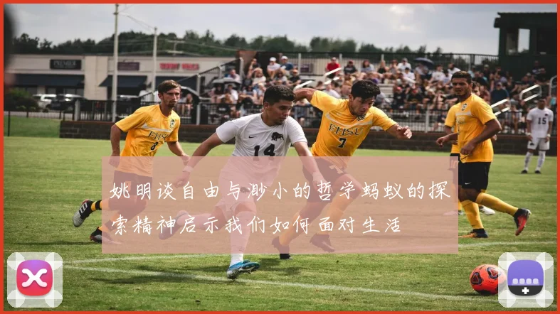 姚明谈自由与渺小的哲学蚂蚁的探索精神启示我们如何面对生活